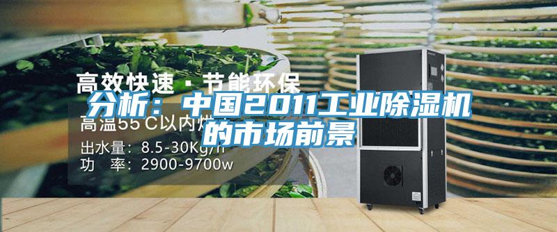分析：中國2011工業榴莲视频官网APP的市場前景