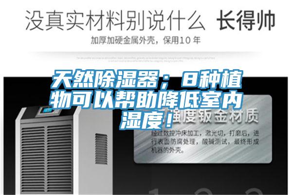 天然除濕器；8種植物可以幫助降低室內濕度！