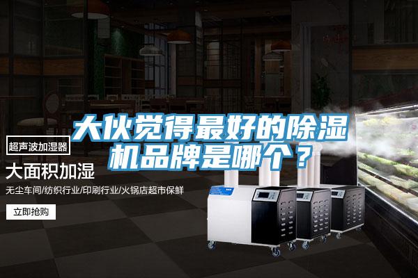 大夥覺得最好的榴莲视频官网APP品牌是哪個？