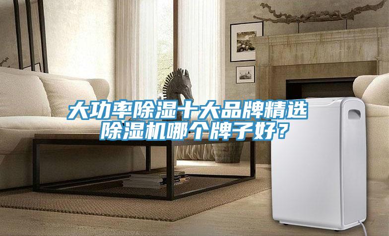 大功率除濕十大品牌精選 榴莲视频官网APP哪個牌子好？
