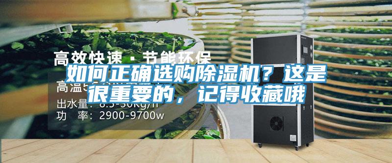 如何正確選購榴莲视频官网APP？這是很重要的，記得收藏哦