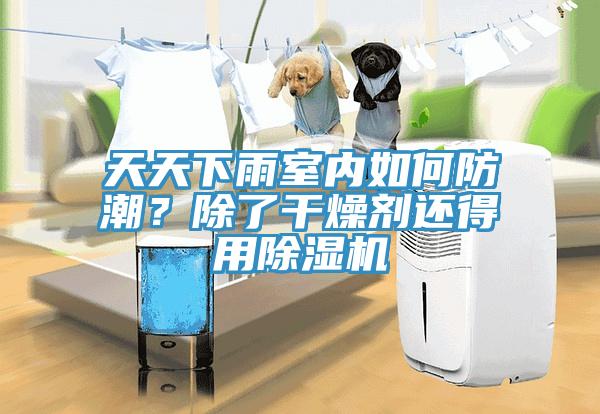 天天下雨室內如何防潮？除了幹燥劑還得用榴莲视频官网APP