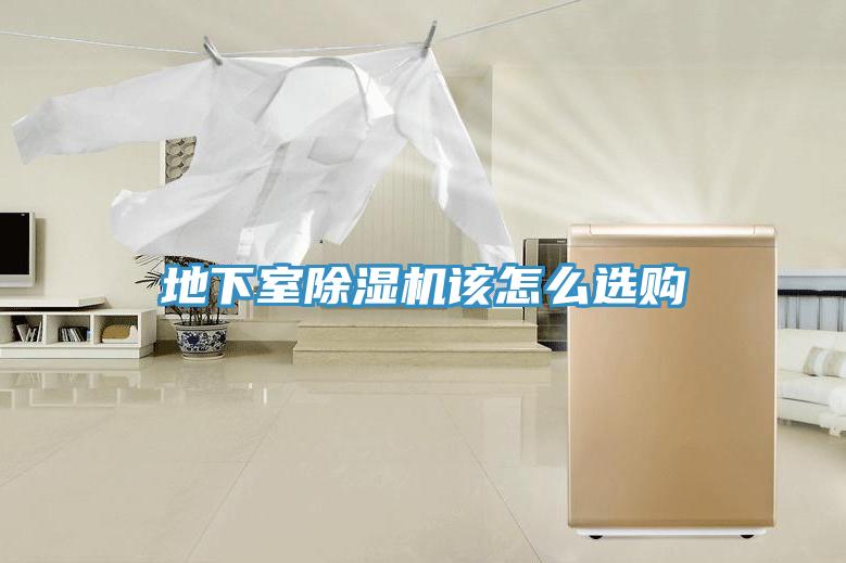 地下室榴莲视频官网APP該怎麽選購