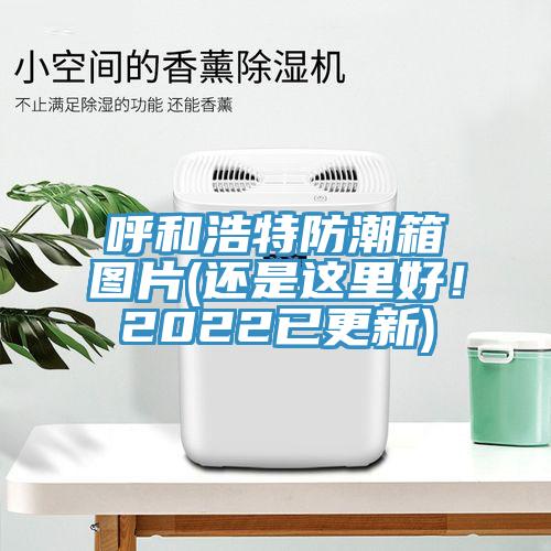 呼和浩特防潮箱圖片(還是這裏好！2022已更新)