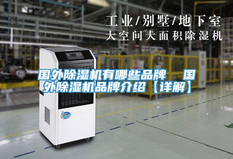 國外榴莲视频官网APP有哪些品牌  國外榴莲视频官网APP品牌介紹【詳解】