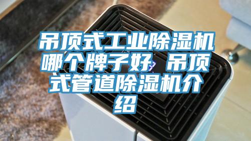 吊頂式工業榴莲视频官网APP哪個牌子好 吊頂式管道榴莲视频官网APP介紹