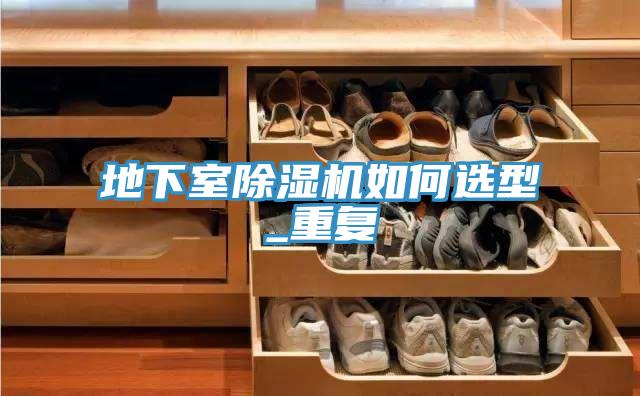 地下室榴莲视频官网APP如何選型_重複