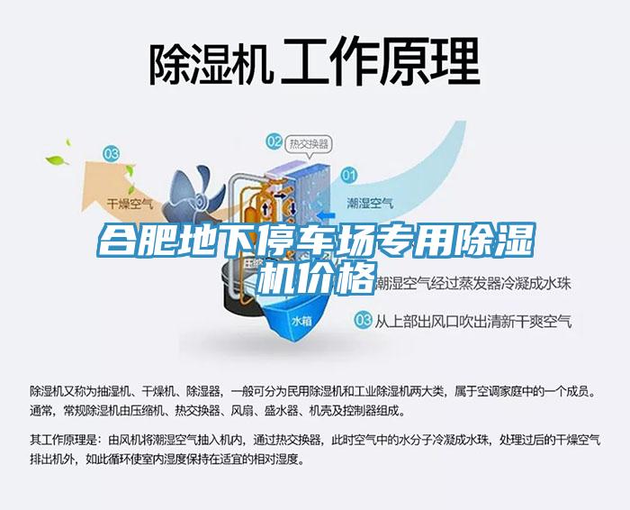 合肥地下停車場專用榴莲视频官网APP價格