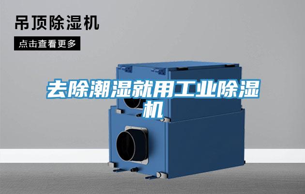 去除潮濕就用工業榴莲视频官网APP