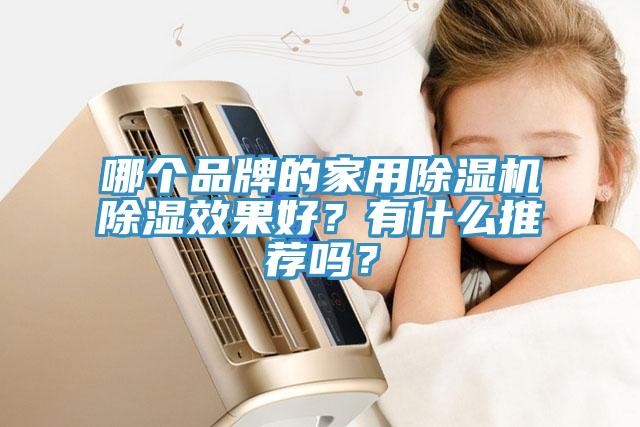 哪個品牌的家用榴莲视频官网APP除濕效果好？有什麽推薦嗎？