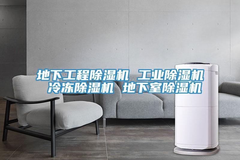 地下工程榴莲视频官网APP 工業榴莲视频官网APP 冷凍榴莲视频官网APP 地下室榴莲视频官网APP