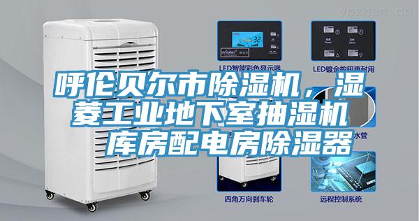 呼倫貝爾市榴莲视频官网APP，濕菱工業地下室抽濕機  庫房配電房除濕器