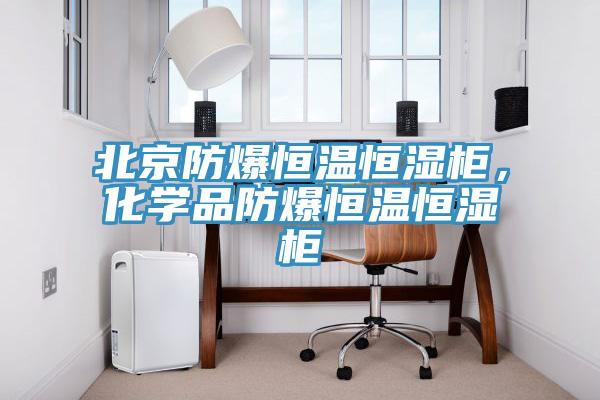 北京防爆恒溫恒濕櫃，化學品防爆恒溫恒濕櫃