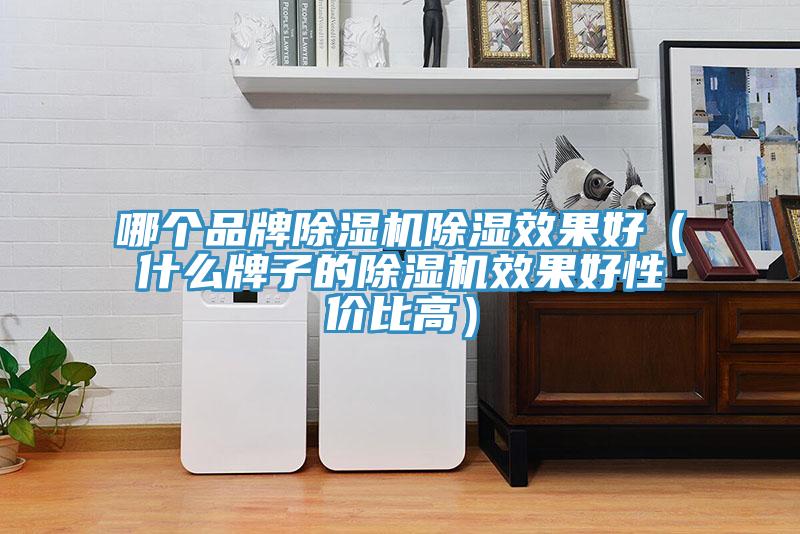 哪個品牌榴莲视频官网APP除濕效果好（什麽牌子的榴莲视频官网APP效果好性價比高）