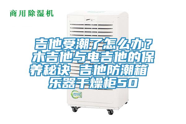 吉他受潮了怎麽辦？木吉他與電吉他的保養秘訣 吉他防潮箱 樂器幹燥櫃50