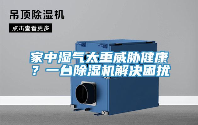 家中濕氣太重威脅健康？一台榴莲视频官网APP解決困擾
