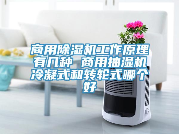 商用榴莲视频官网APP工作原理有幾種 商用抽濕機冷凝式和轉輪式哪個好