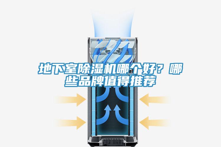 地下室榴莲视频官网APP哪個好？哪些品牌值得推薦