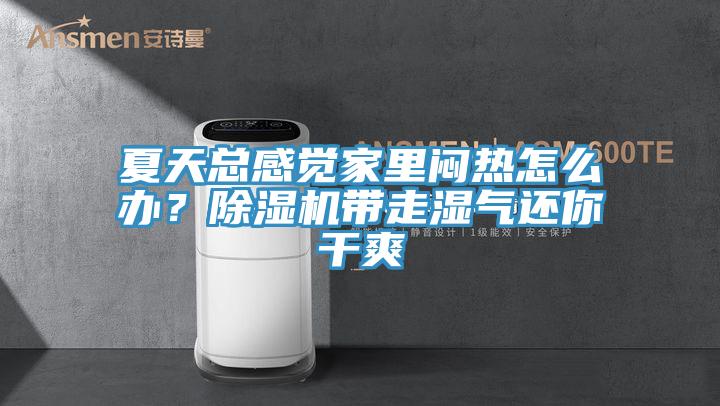 夏天總感覺家裏悶熱怎麽辦？榴莲视频官网APP帶走濕氣還你幹爽