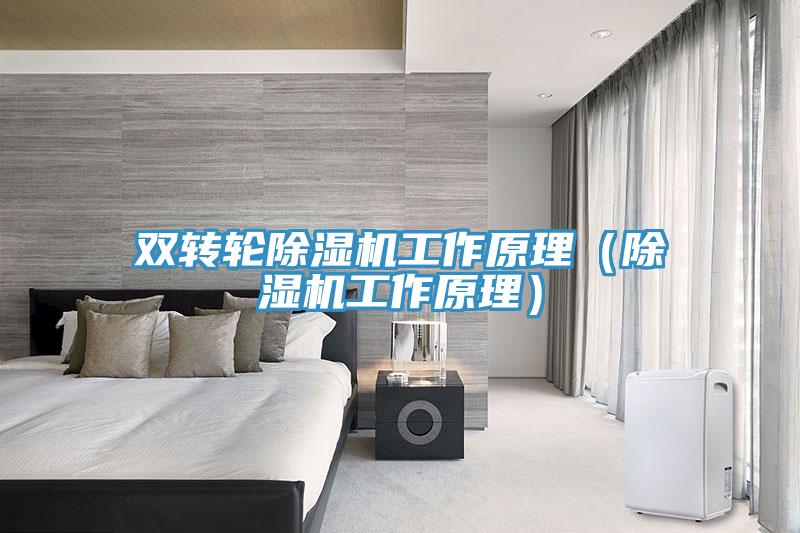 雙轉輪榴莲视频官网APP工作原理（榴莲视频官网APP工作原理）