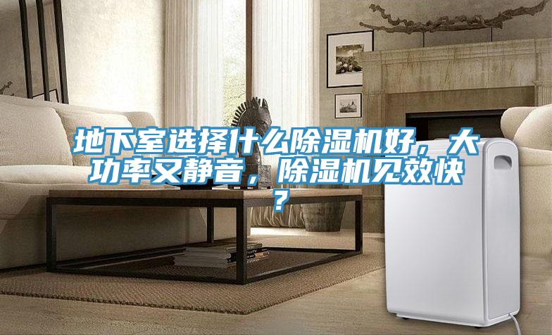 地下室選擇什麽榴莲视频官网APP好，大功率又靜音，榴莲视频官网APP見效快？