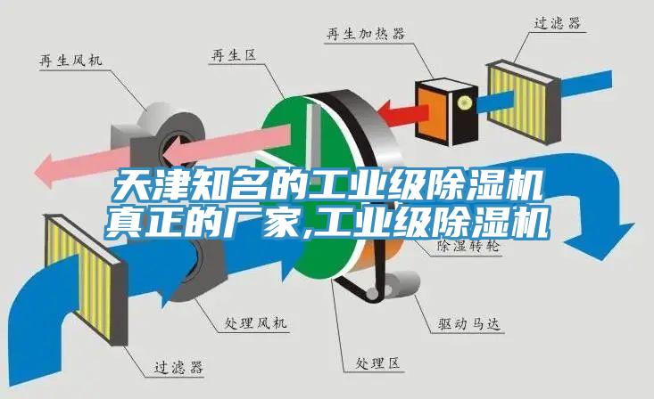 天津知名的工業級榴莲视频官网APP真正的廠家,工業級榴莲视频官网APP