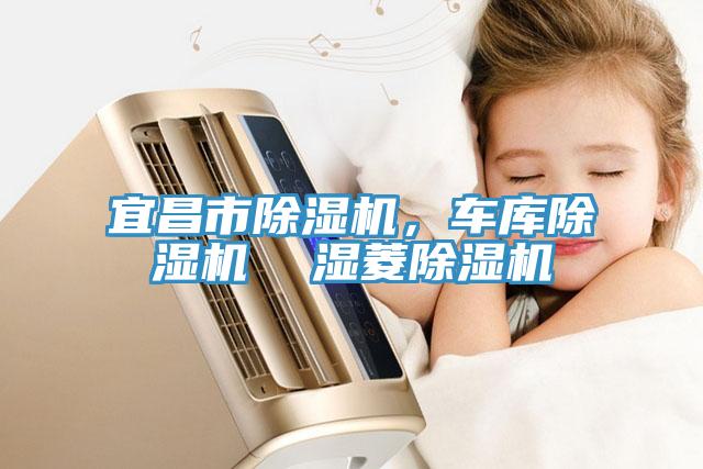 宜昌市榴莲视频官网APP，車庫榴莲视频官网APP  濕菱榴莲视频官网APP