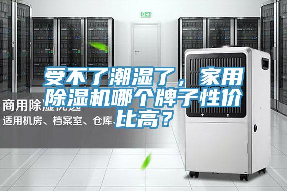 受不了潮濕了，家用榴莲视频官网APP哪個牌子性價比高？