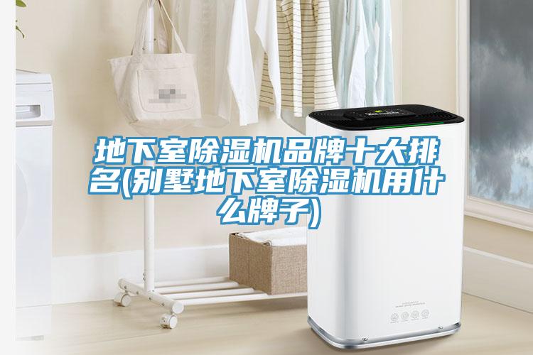 地下室榴莲视频官网APP品牌十大排名(別墅地下室榴莲视频官网APP用什麽牌子)