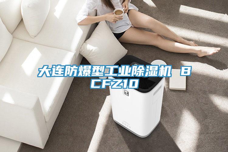 大連防爆型工業榴莲视频官网APP BCFZ10