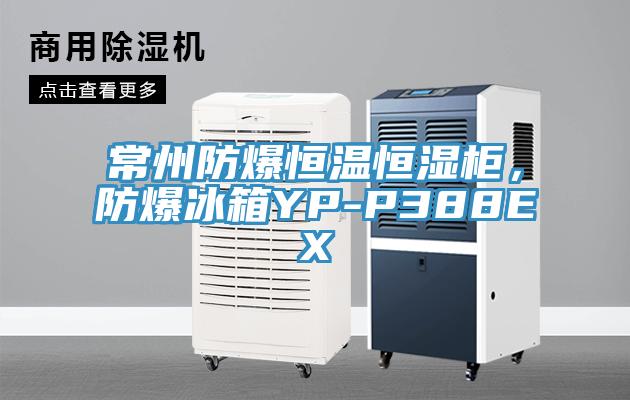 常州防爆恒溫恒濕櫃，防爆冰箱YP-P388EX