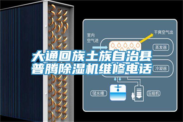 大通回族土族自治縣普騰榴莲视频官网APP維修電話