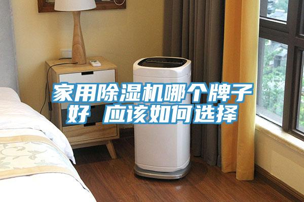 家用榴莲视频官网APP哪個牌子好 應該如何選擇