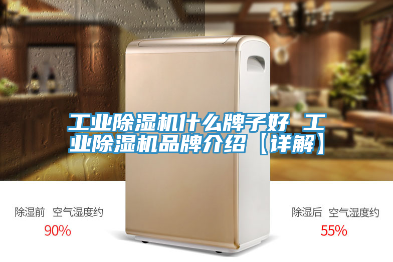 工業榴莲视频官网APP什麽牌子好 工業榴莲视频官网APP品牌介紹【詳解】