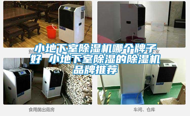小地下室榴莲视频官网APP哪個牌子好 小地下室除濕的榴莲视频官网APP品牌推薦