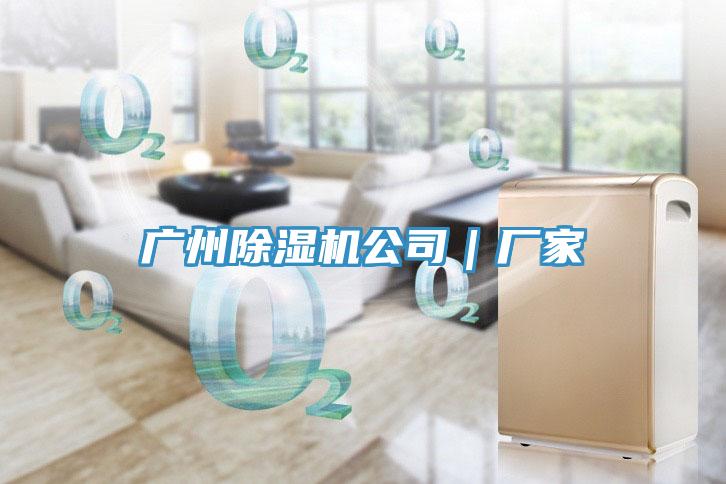 廣州榴莲视频官网APP公司｜廠家