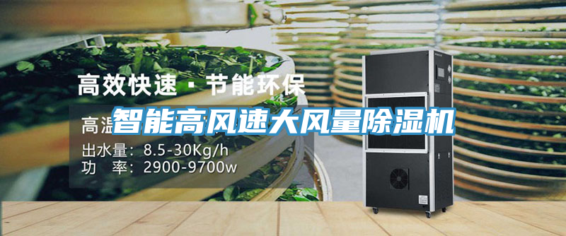 智能高風速大風量榴莲视频官网APP