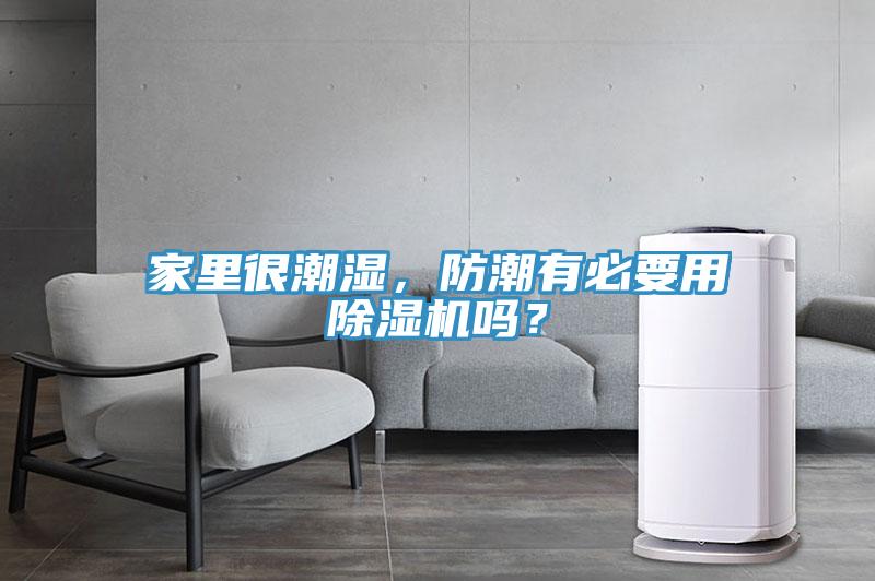家裏很潮濕，防潮有必要用榴莲视频官网APP嗎？
