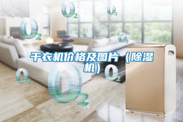 幹衣機價格及圖片（榴莲视频官网APP）
