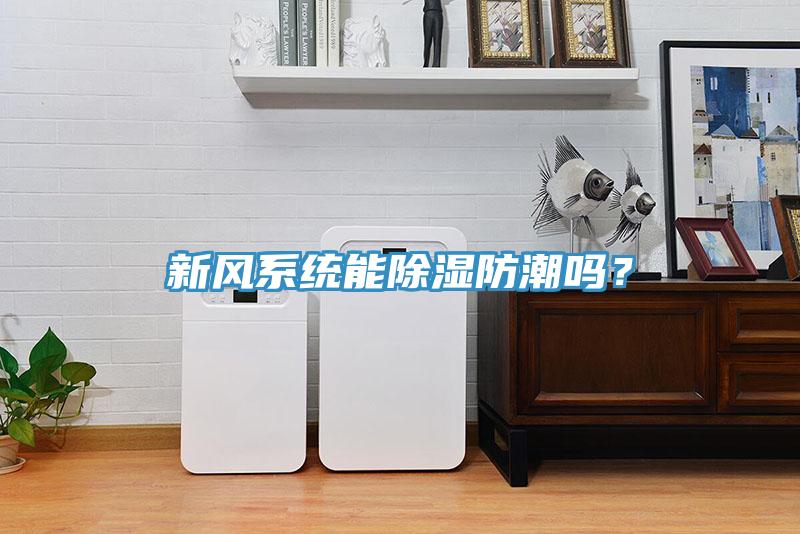 新風係統能除濕防潮嗎？