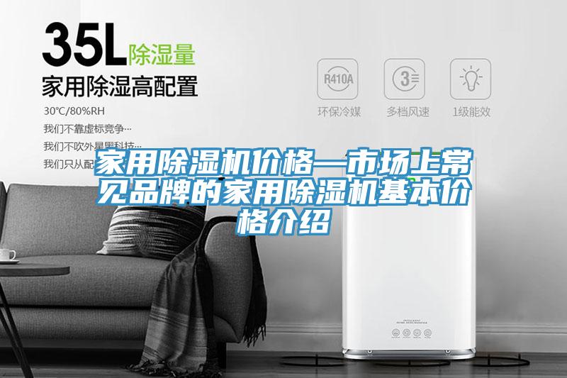 家用榴莲视频官网APP價格—市場上常見品牌的家用榴莲视频官网APP基本價格介紹