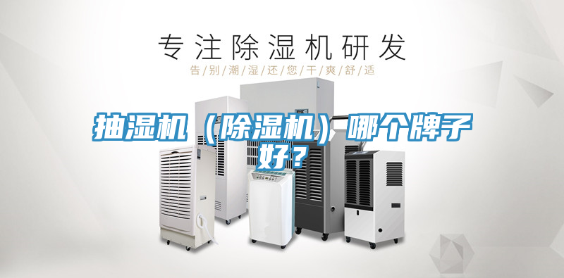 抽濕機（榴莲视频官网APP）哪個牌子好？
