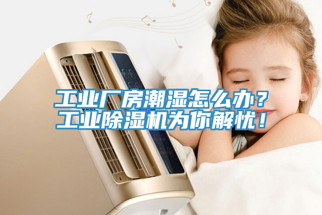 工業廠房潮濕怎麽辦？工業榴莲视频官网APP為你解憂！