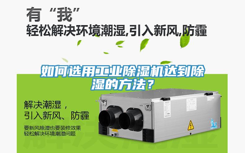如何選用工業榴莲视频官网APP達到除濕的方法？