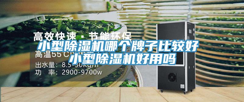 小型榴莲视频官网APP哪個牌子比較好 小型榴莲视频官网APP好用嗎