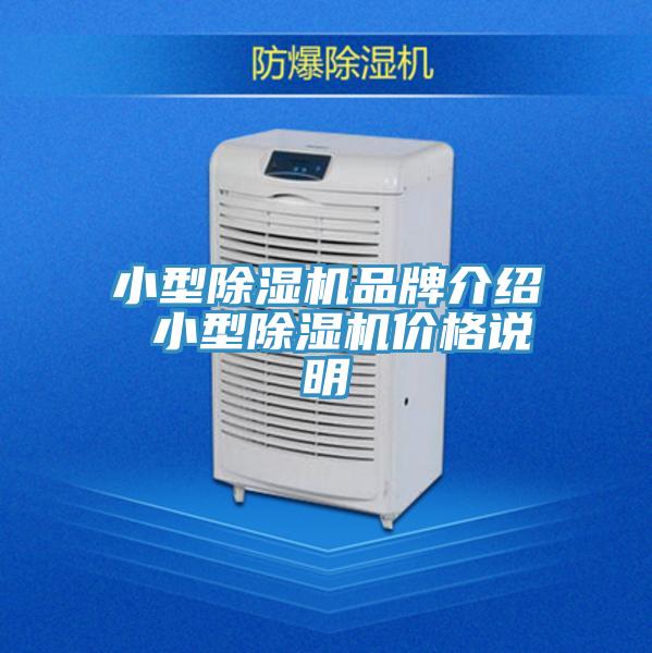 小型榴莲视频官网APP品牌介紹 小型榴莲视频官网APP價格說明