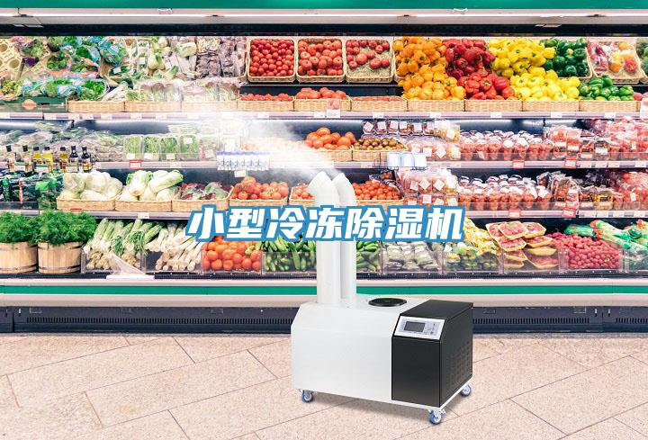 小型冷凍榴莲视频官网APP