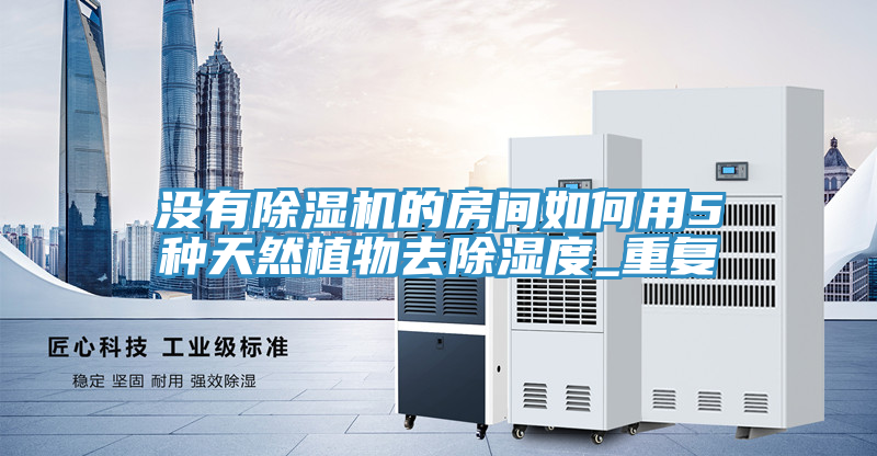 沒有榴莲视频官网APP的房間如何用5種天然植物去除濕度_重複