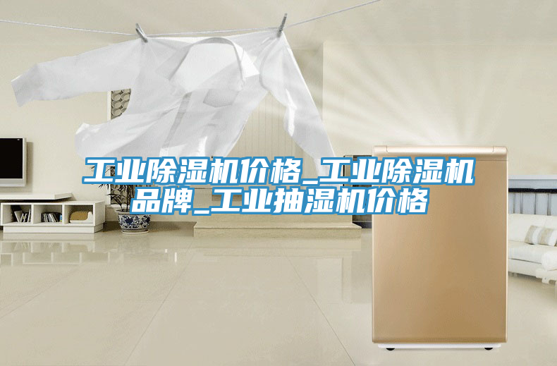 工業榴莲视频官网APP價格_工業榴莲视频官网APP品牌_工業抽濕機價格