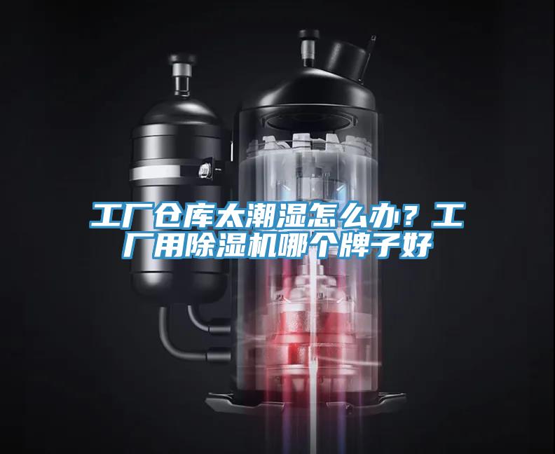 工廠倉庫太潮濕怎麽辦？工廠用榴莲视频官网APP哪個牌子好